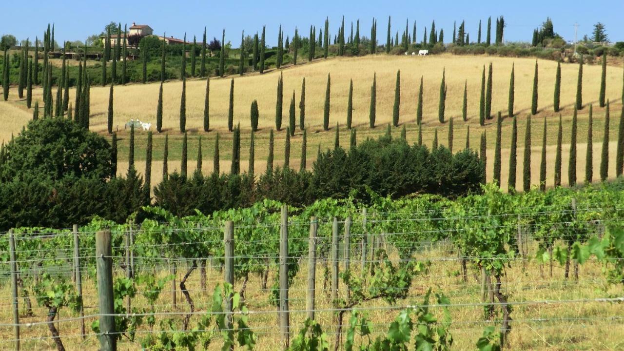 سان جيمينيانو Appartamenti Ava E Tegrino Nell'Antica Dimora Di Fulignano المظهر الخارجي الصورة